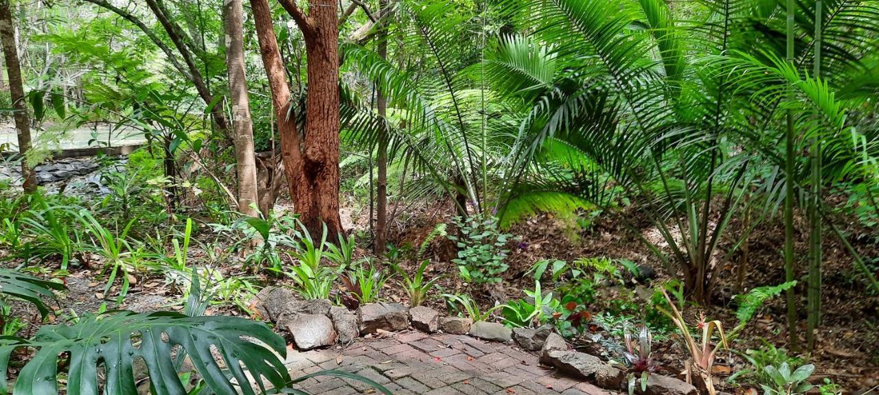 Treetops Montville Exterior foto